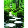Zen Garden
